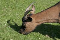 Cjp_2011_08_01_145225 (2).jpg